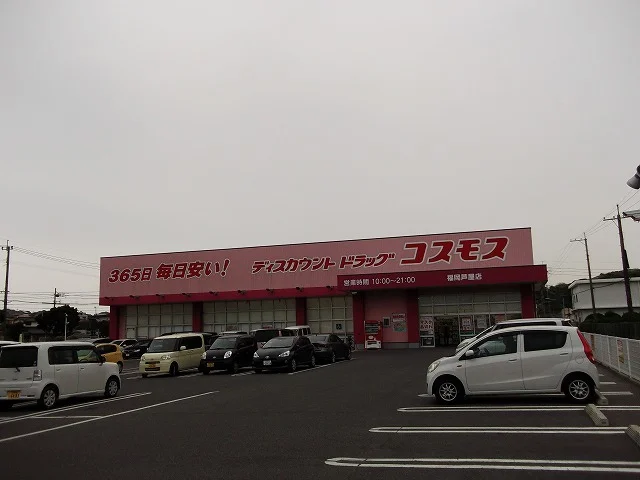 コスモスまで1200m