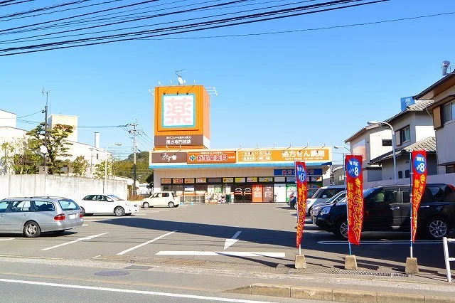 ドラッグ新生堂まで1300m