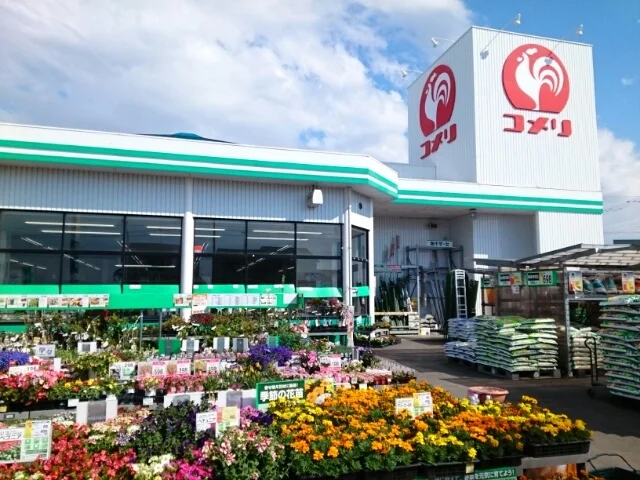 コメリハード＆グリーン志波姫店まで600m