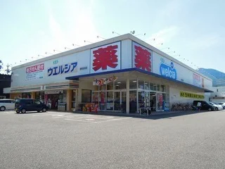 ウエルシア静岡羽鳥店まで800m