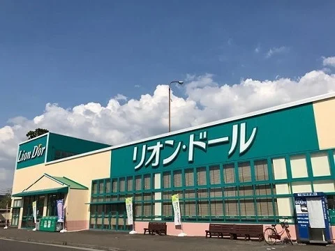 リオン・ドール結城店まで2900m