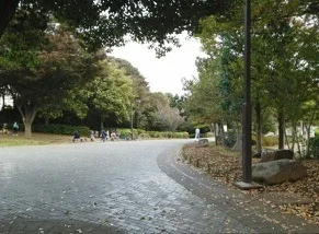 花島公園まで1260m