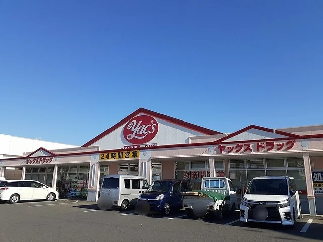 ヤックスドラッグ千代田店まで800m
