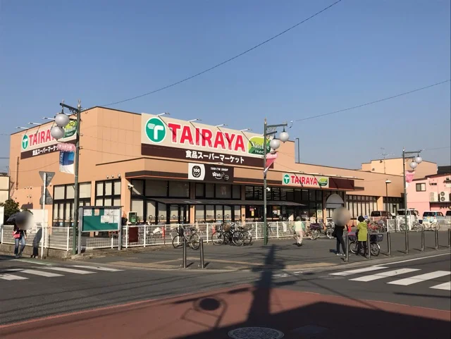ＴＡＩＲＡＹＡまで1700m