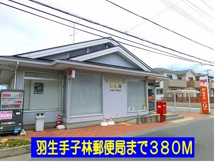 羽生手子林郵便局まで380m