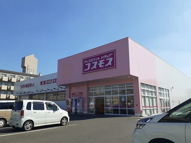 コスモス大江店まで1100m