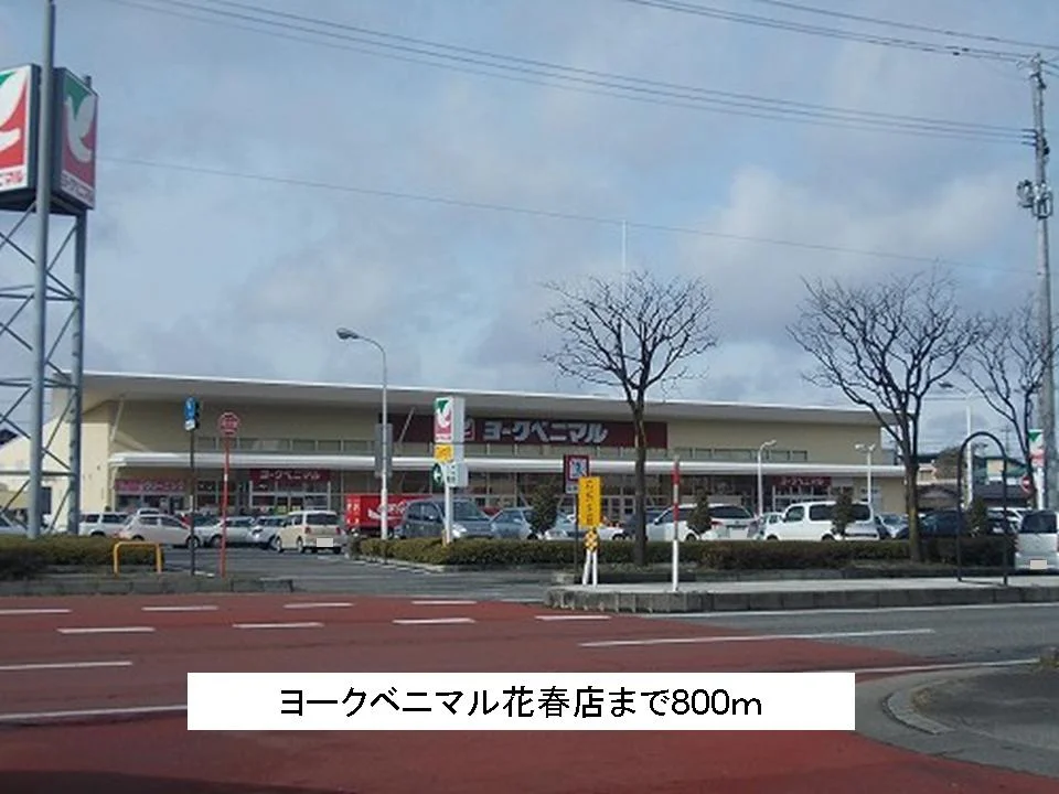 ヨークベニマル花春店まで800m
