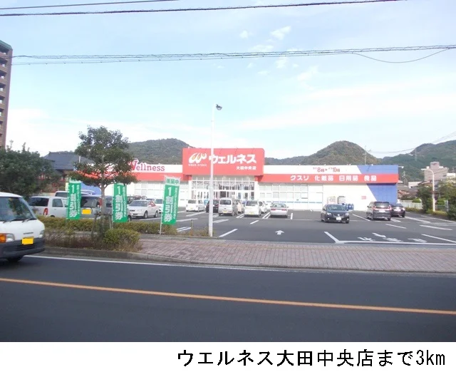 ウエルネス大田中央店まで3000m