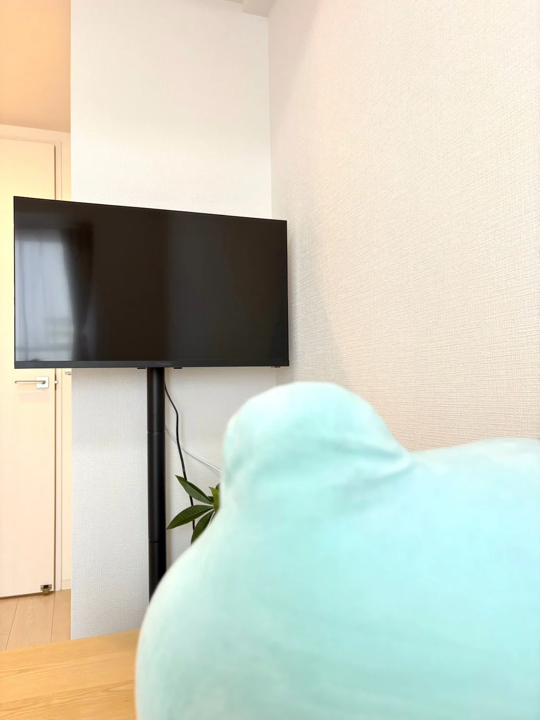 テレビも見やすくなっています♪
