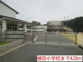 植田小学校まで420m