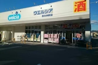 ウエルシア豊川大崎町店様まで700m