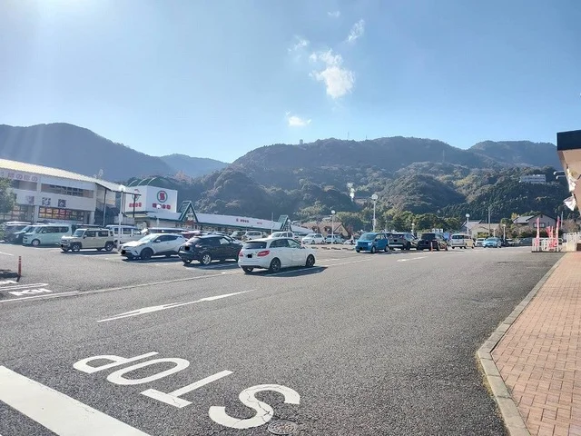別府山の手ライフガーデンまで600m