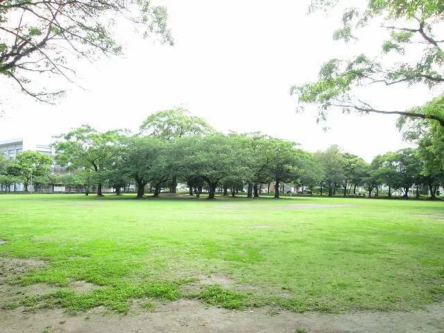 宮崎市中央公園まで1000m