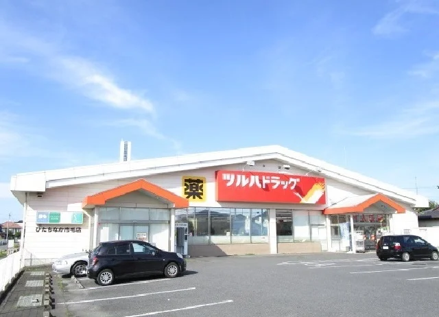 ツルハドラッグ市毛店まで1300m