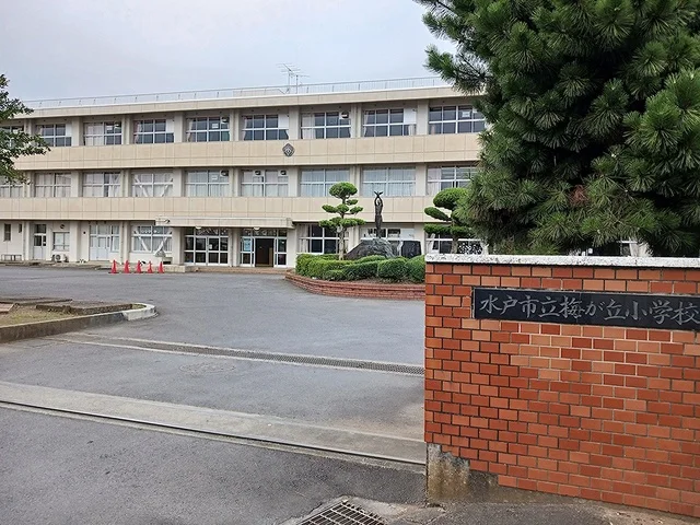 水戸市立梅が丘小学校まで961m