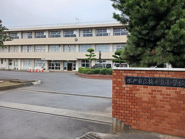 水戸市立梅が丘小学校まで939m