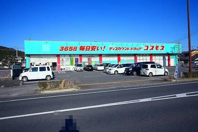 コスモス　新地店まで900m