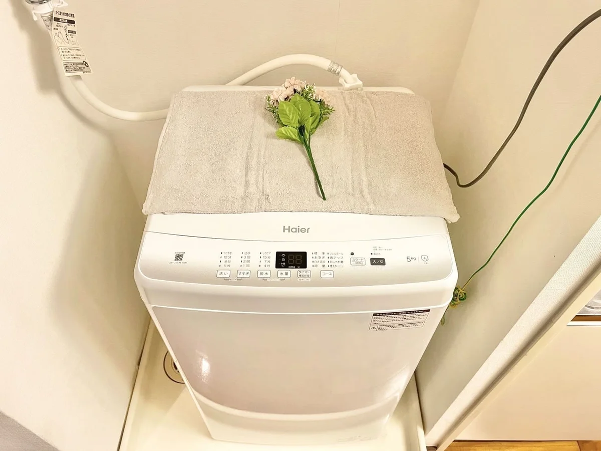 ※撮影用の観察植物・食器調理器具・雑貨類等はございません。※写真は現況優先