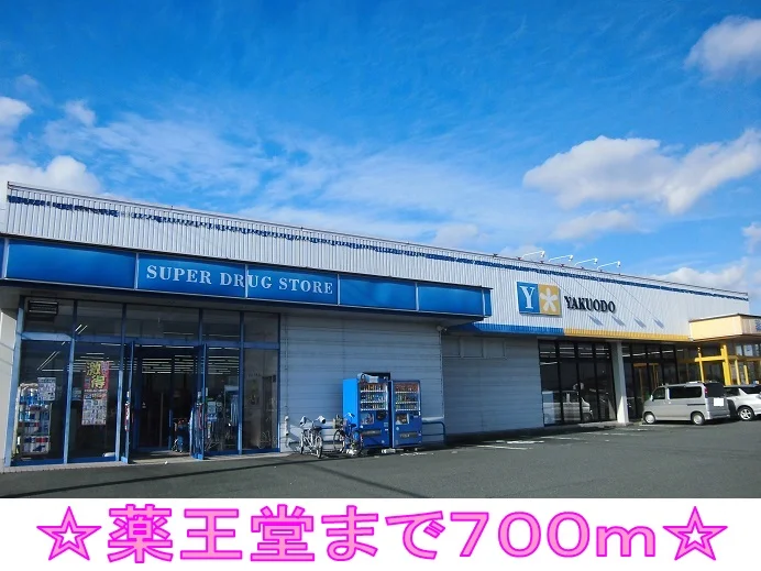 薬王堂まで700m