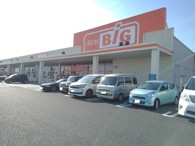ザ・ビッグ白根店まで1200m