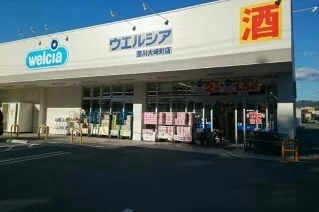 ウエルシア豊川大崎町店様まで730m
