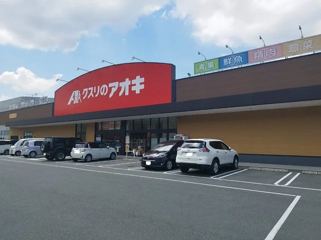 クスリのアオキまで1100m