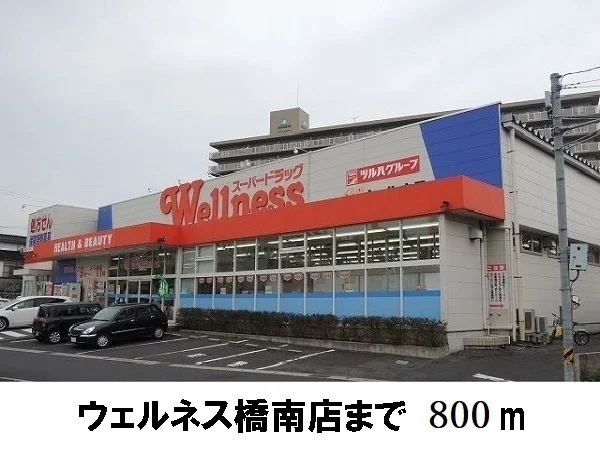 ウェルネス橋南店まで800m
