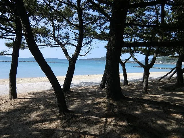 菊ヶ浜海岸まで240m