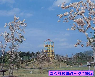 さくらの森パークまで1100m