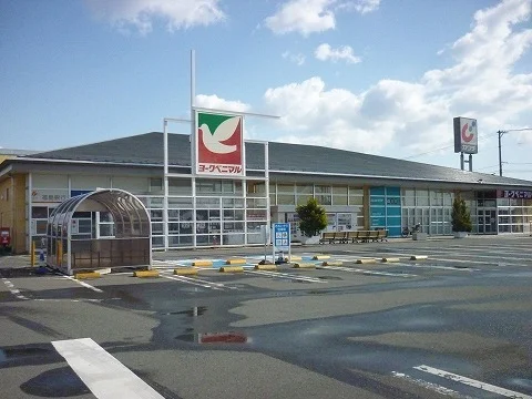 ヨークベニマル コスモス通り店まで650m