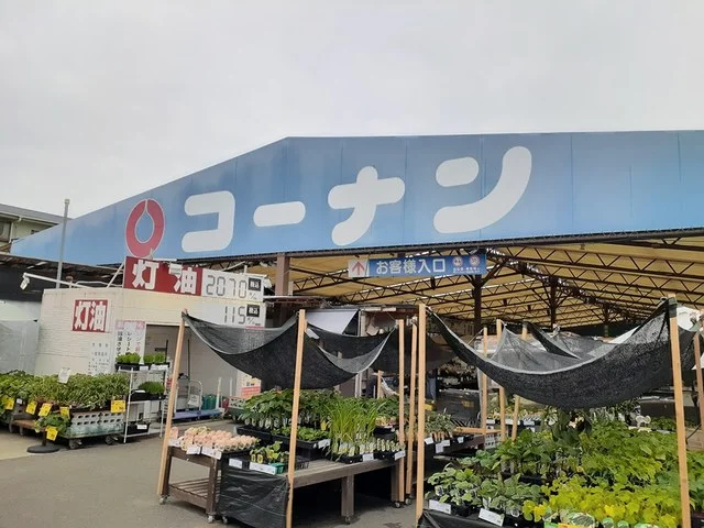 コーナン泉大津店まで600m