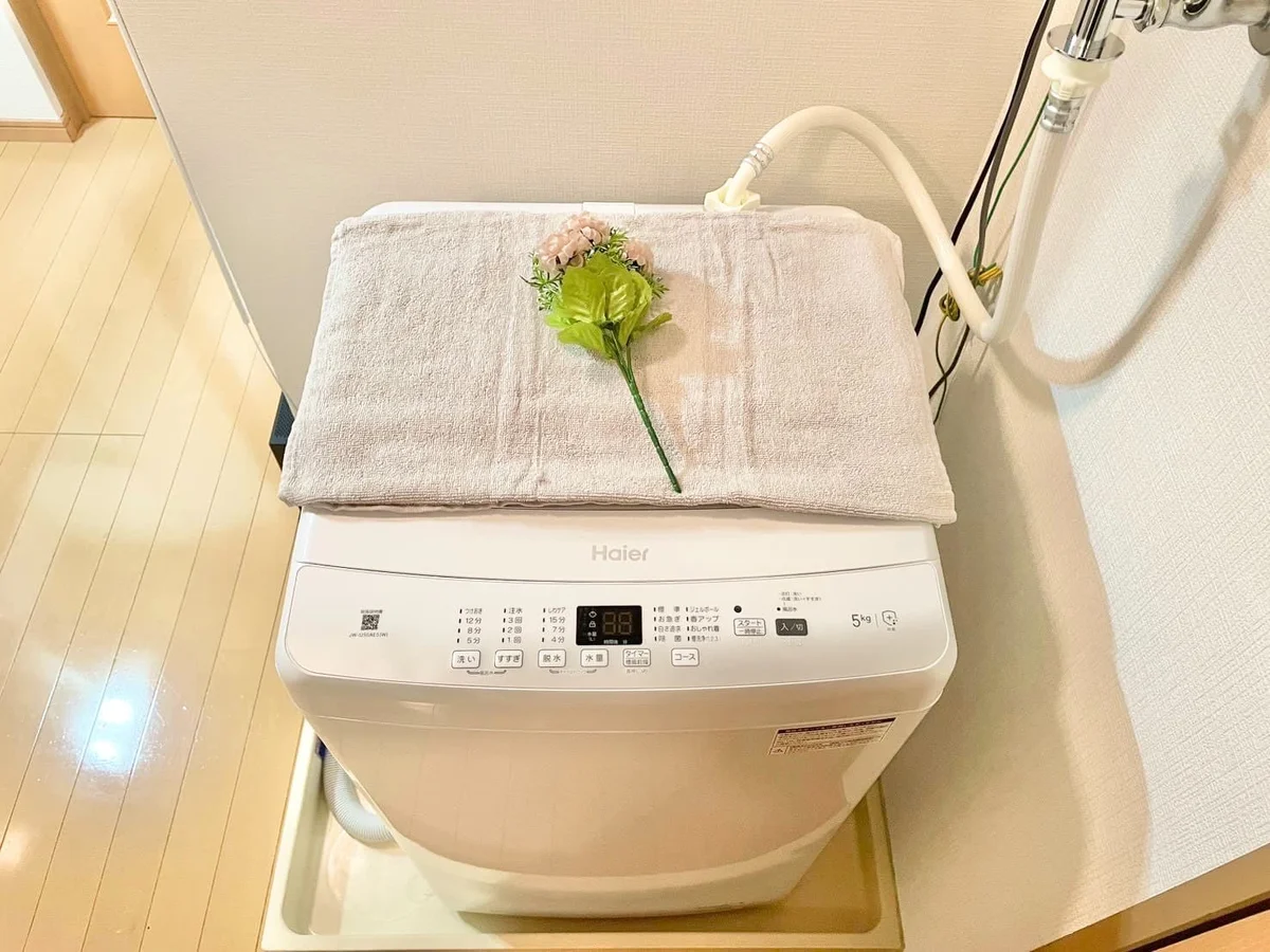 ※撮影用の観察植物・食器調理器具・雑貨類等はございません。※写真は現況優先