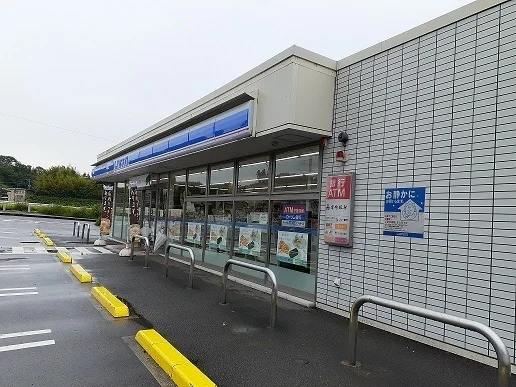ローソン野田3丁目店まで1100m