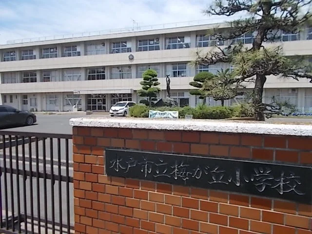 梅が丘小学校まで650m