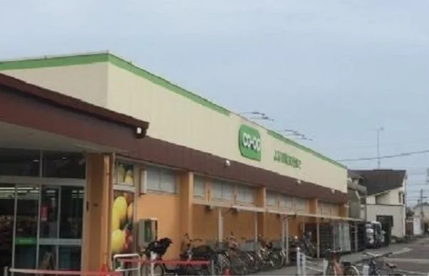 コープまで850m