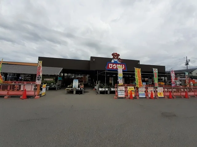ひらせいホームセンター村松店まで550m