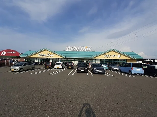リオンドール新津店まで800m