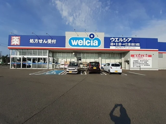ウェルシアさつき野店まで650m