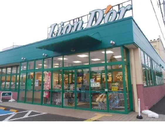 リオン・ドール南中央店まで1100m