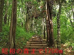 昭和の森公園まで1700m
