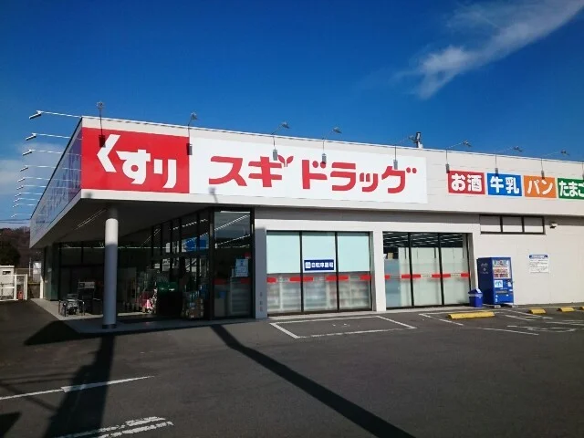 スギドラッグ安中店まで300m