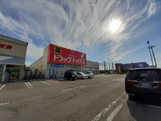 ドラッグトップス新通店まで289m
