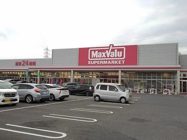 マックスバリュ生桑店まで1190m