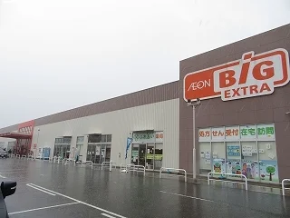 ザ・ビッグ氷上店まで1200m
