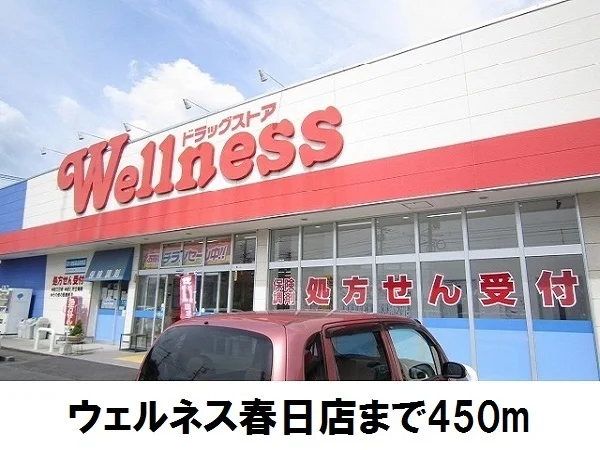 ウェルネス春日店まで450m