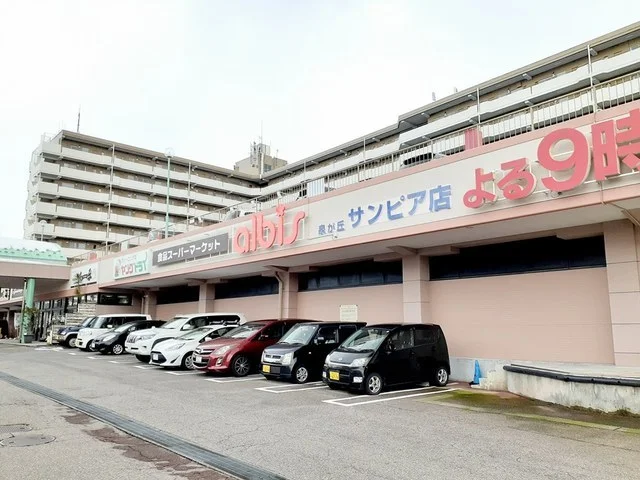 アルビス泉が丘サンピア店まで600m