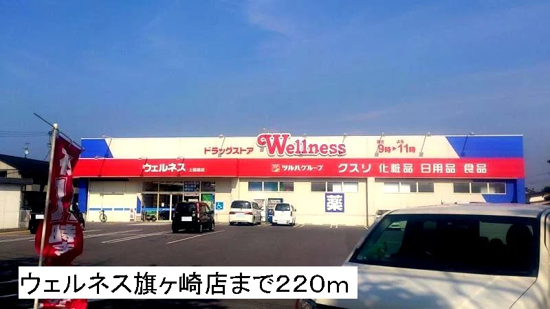ウェルネス旗ヶ崎店まで220m