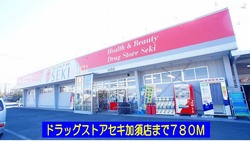 ドラッグストアセキ加須店まで780m