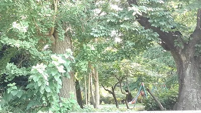 八幡公園まで240m