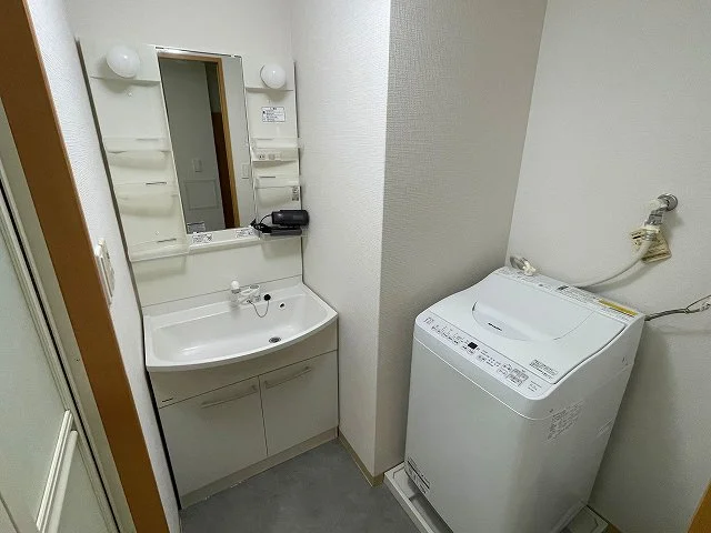 シャンプードレッサー・乾燥機能付き洗濯機